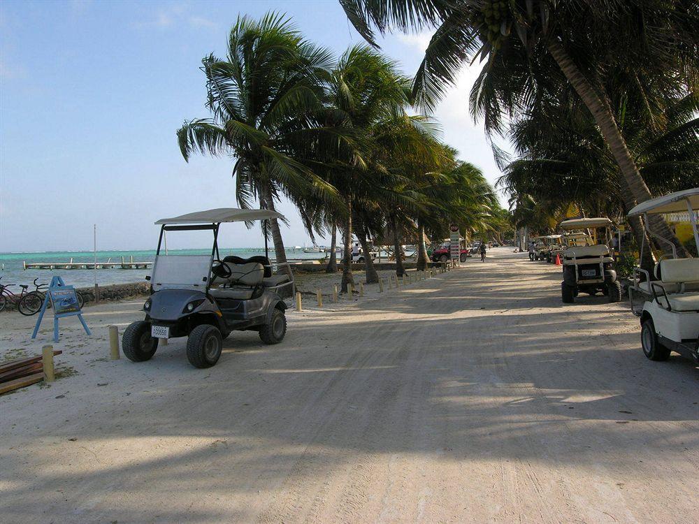Seven Seas Resort Adults Only San Pedro  Esterno foto